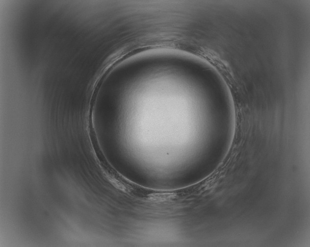 X0000069820051200605261825
