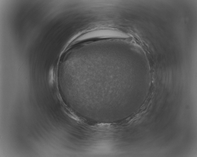 X0000069820052200605261825