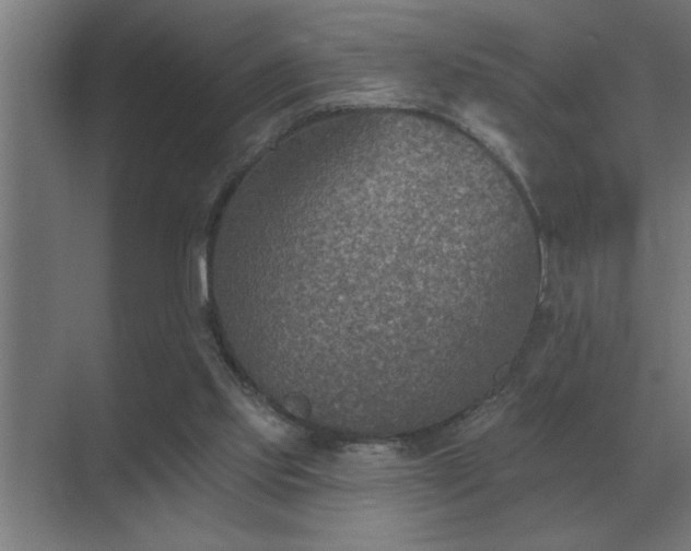 X0000069820061200605261825