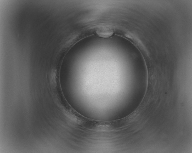 X0000069820066200605261825