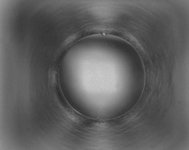 X0000069820071200605261825