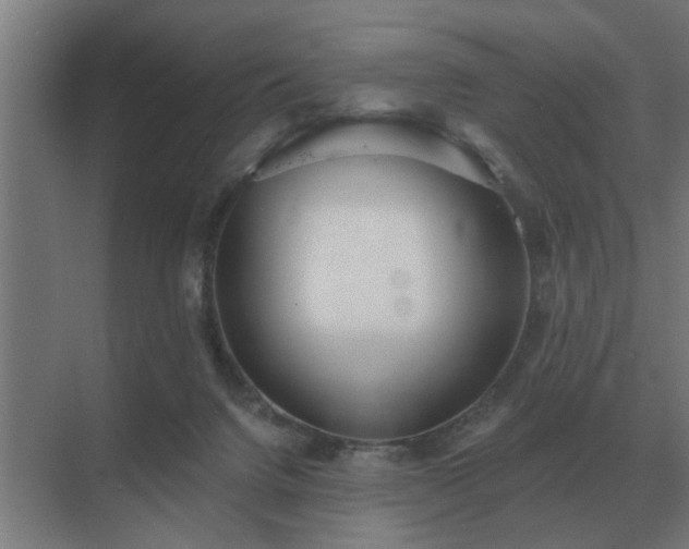 X0000069820072200605261825