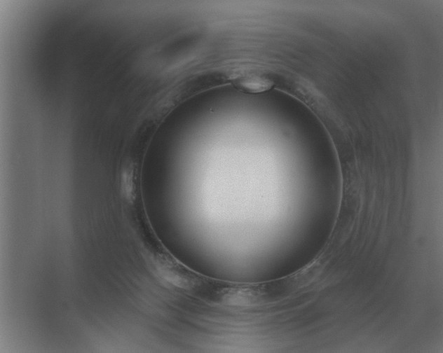 X0000069820074200605261825