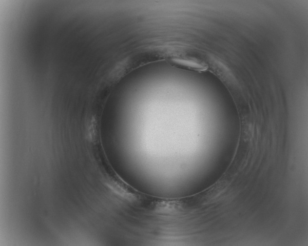 X0000069820077200605261825