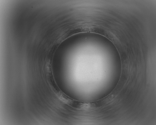X0000069820083200605261825