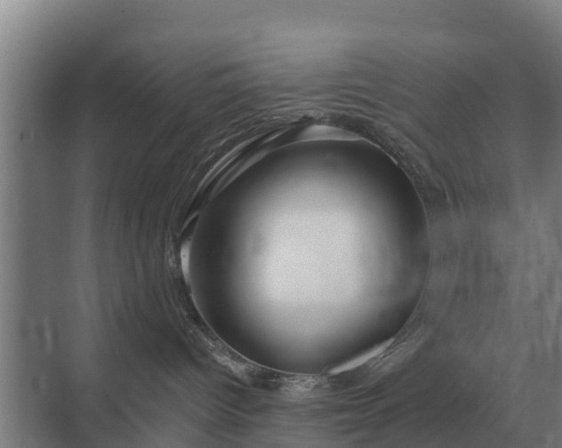 X0000069820096200605261826