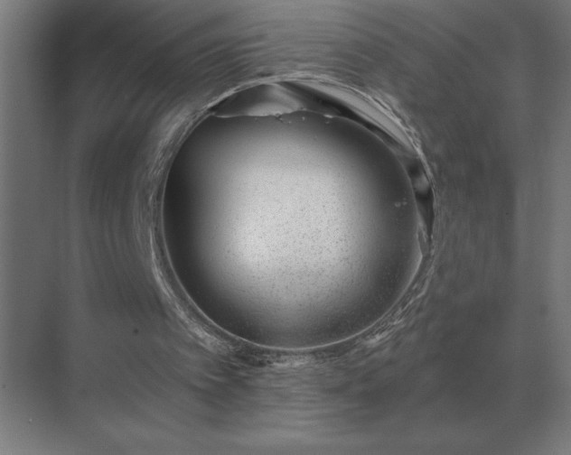 X0000069820097200605261825
