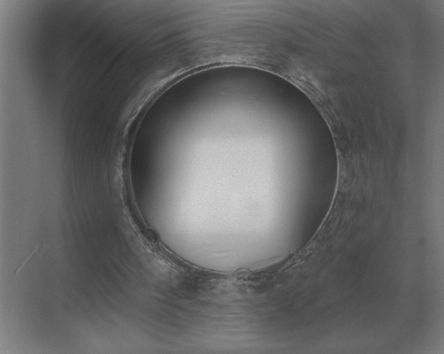 X0000069820098200605261825