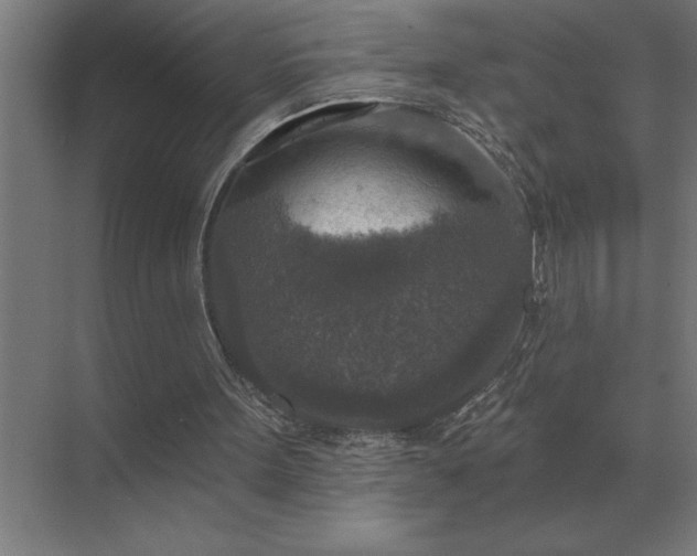 X0000069820099200605261825