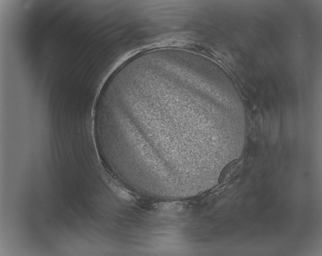 X0000069820100200605261825