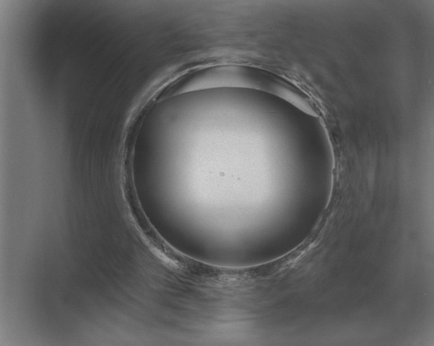 X0000069820101200605261825
