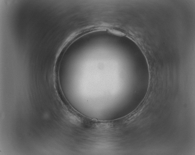 X0000069820102200605261825