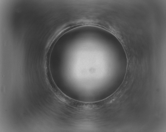 X0000069820103200605261825