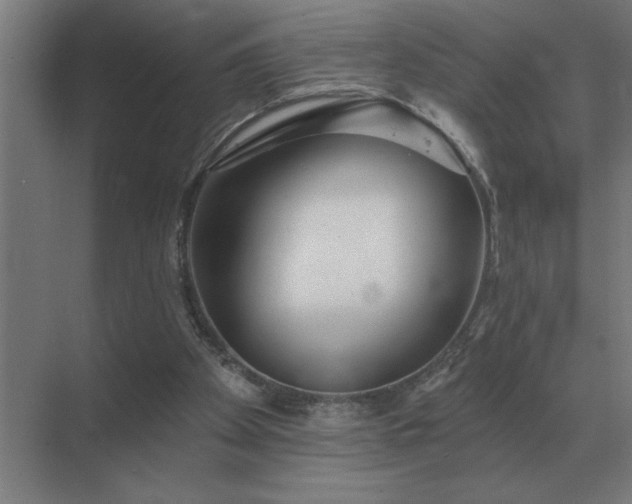 X0000069820105200605261825