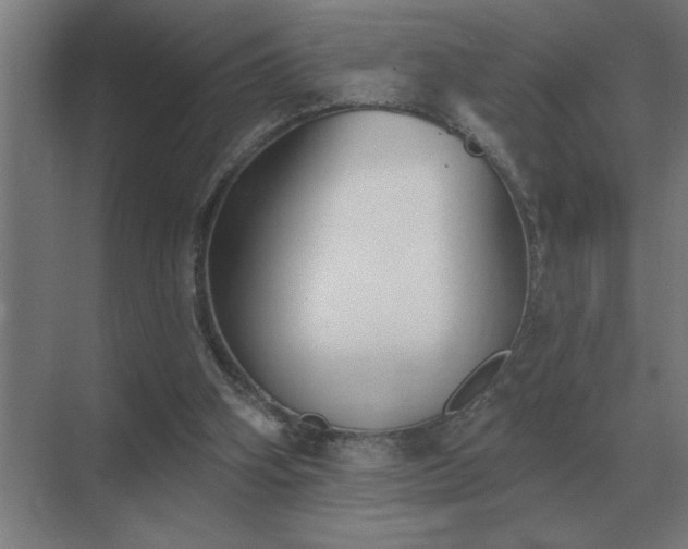 X0000069820106200605261825