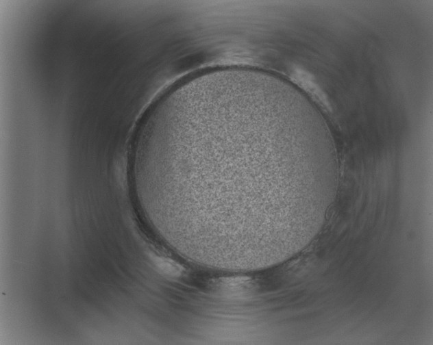 X0000069820108200605261825