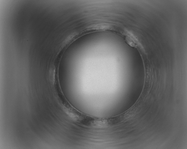 X0000069820110200605261825