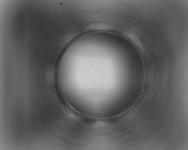 X0000069820111200605261824