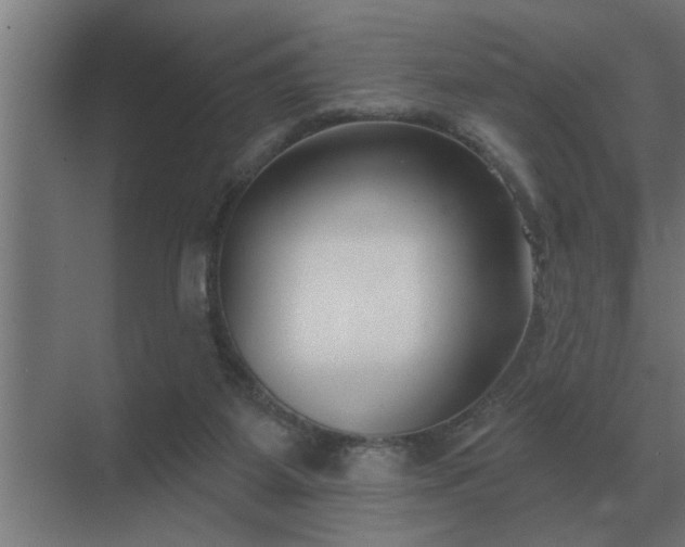X0000069820115200605261824