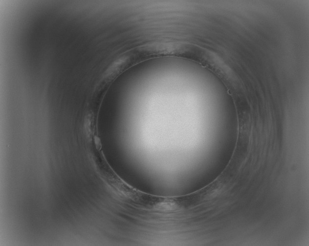 X0000069820119200605261824