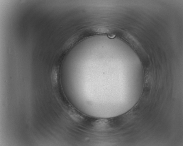 X0000069820124200605261824