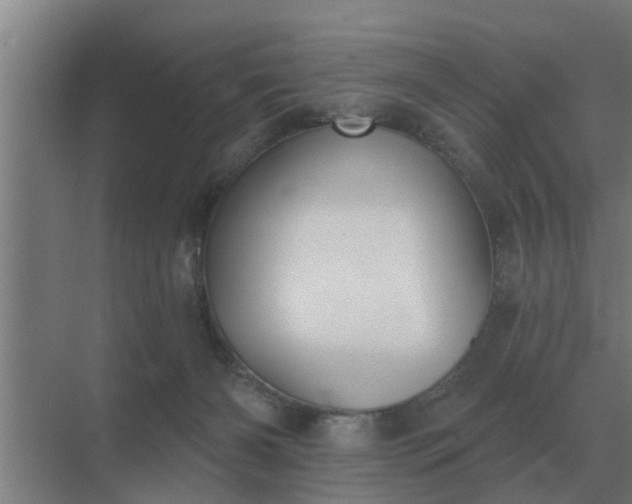 X0000069820126200605261824