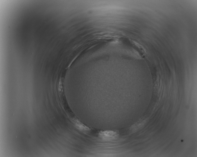 X0000069820137200605261824