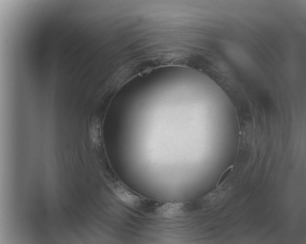 X0000069820138200605261824