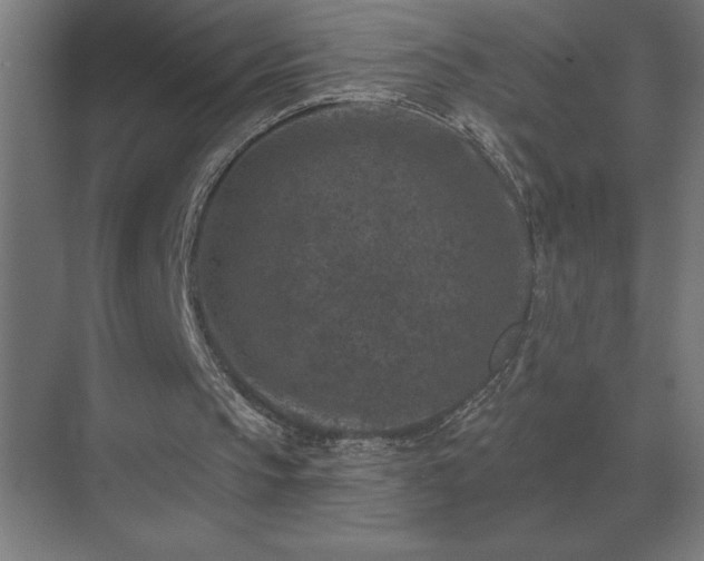 X0000069820145200605261823