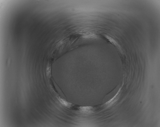 X0000069820192200605261824