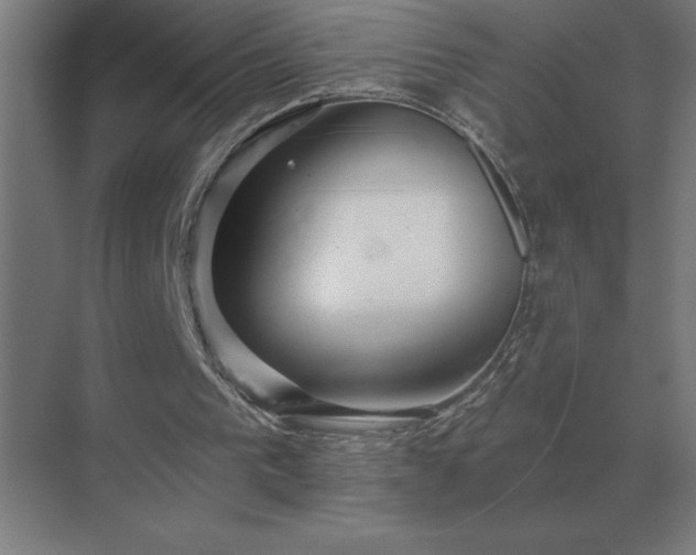 X0000069820193200605261823