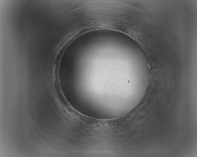 X0000069820194200605261823
