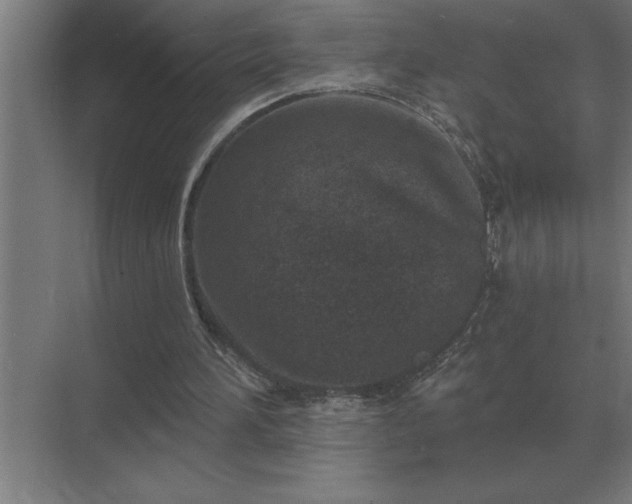 X0000069820196200605261823