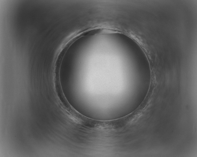 X0000069820199200605261823