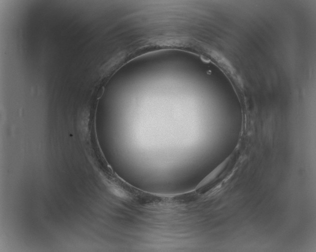 X0000069820201200605261823