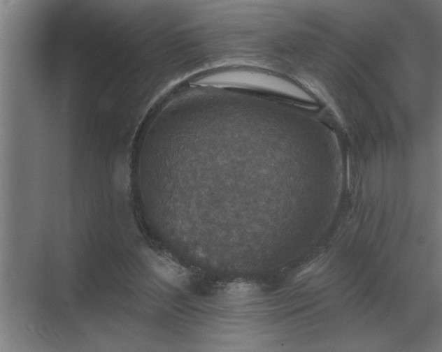 X0000069820204200605261823