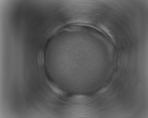 X0000069820205200605261823