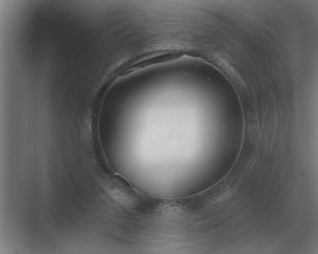 X0000069820207200605261823