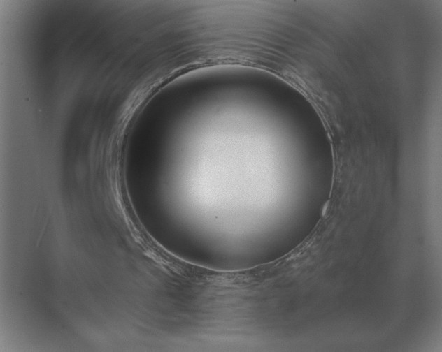 X0000069820241200605261821