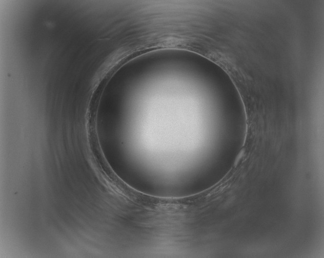 X0000069820242200605261822