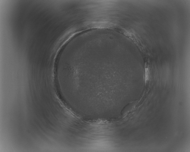 X0000069820243200605261822