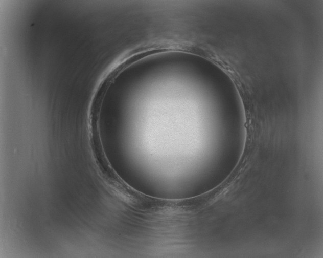 X0000069820246200605261822