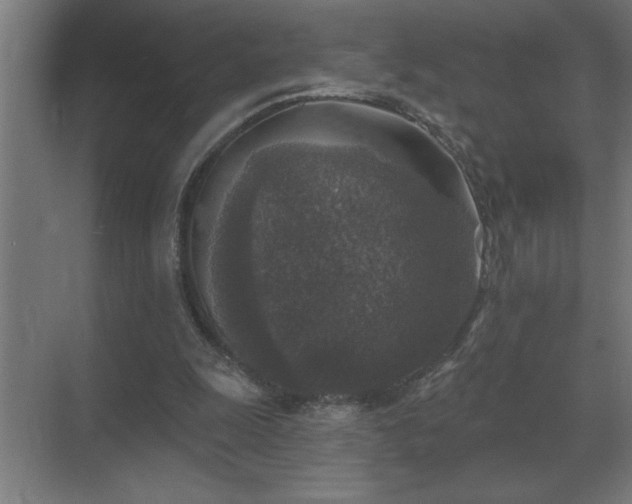 X0000069820247200605261822