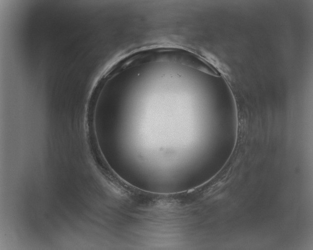 X0000069820248200605261822
