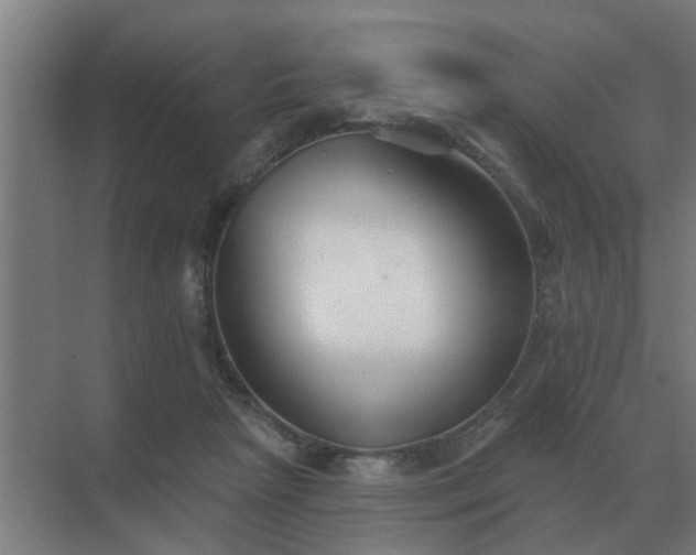X0000069820265200605261822