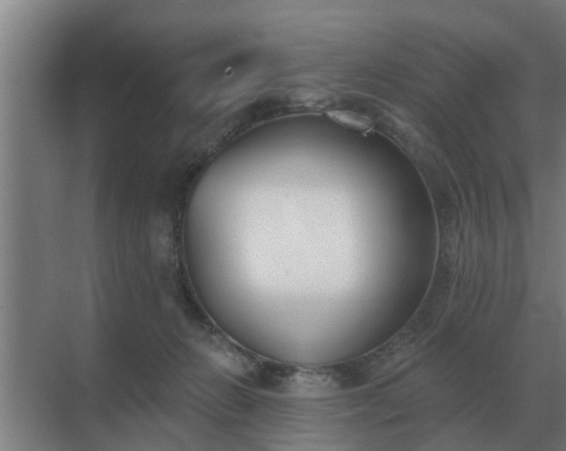 X0000069820270200605261822