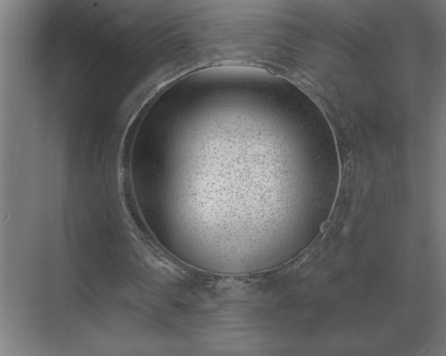 X0000069820290200605261821