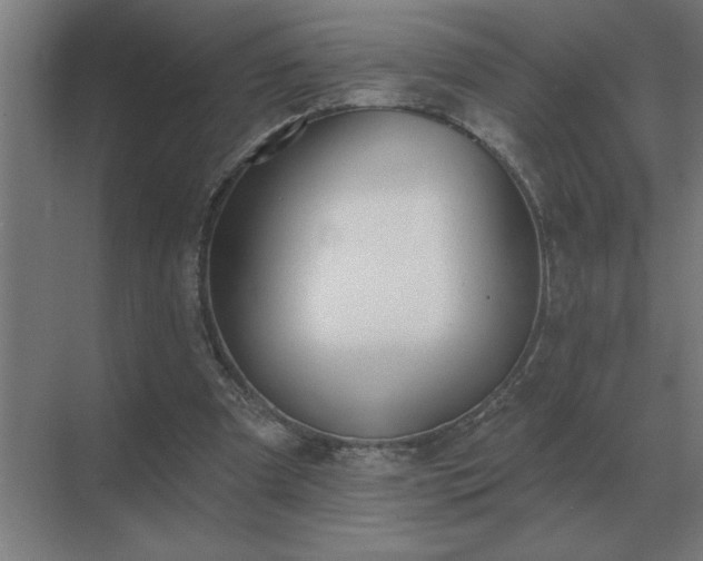 X0000069820297200605261821