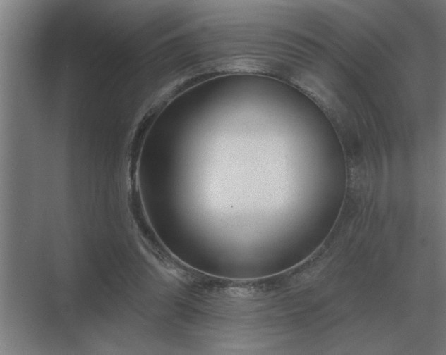 X0000069820302200605261821