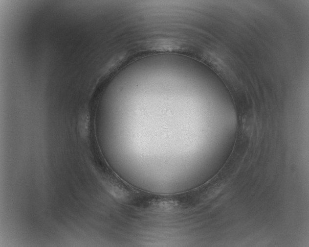 X0000069820304200605261821